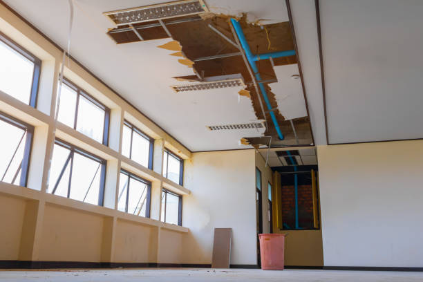 Water damage restoration mold remediation in GA