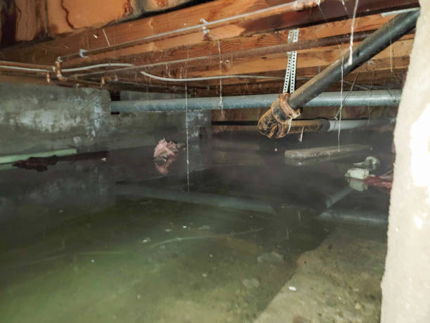 Best Residential water damage restoration  in Hamilton, GA