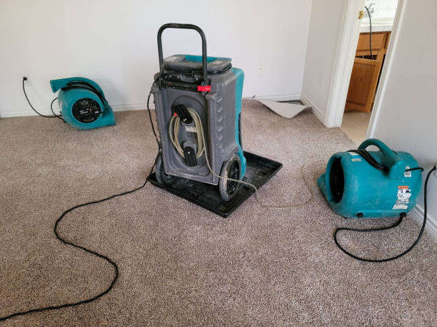 Best 24-hour water damage restoration  in Hamilton, GA