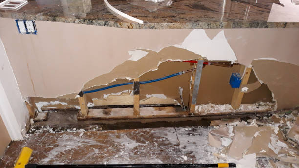 Best Basement water damage restoration  in Hamilton, GA