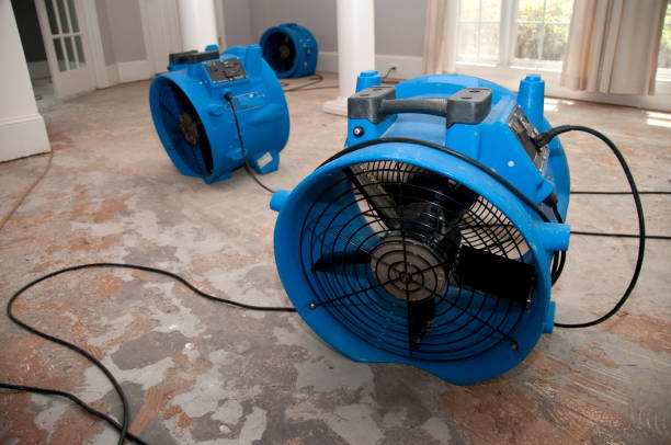 Best 24/7 water damage repair  in Hamilton, GA