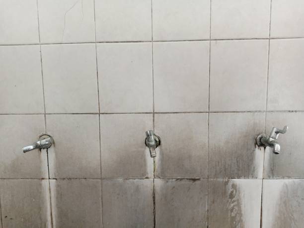 Best Sewage cleanup and water damage restoration  in Hamilton, GA