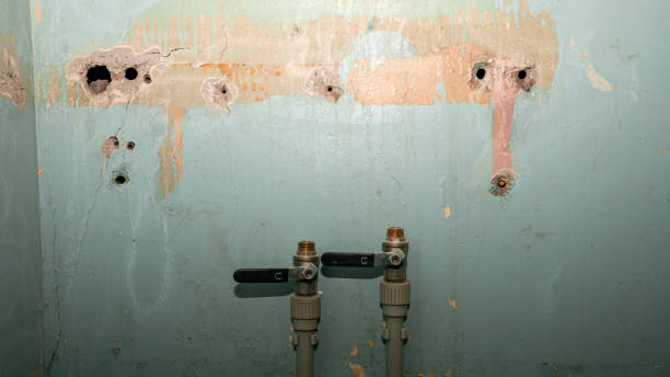 Best Flood damage cleanup  in Hamilton, GA