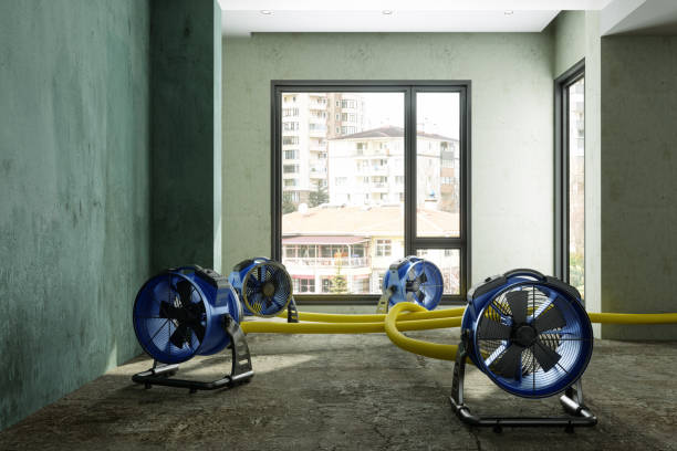 Best Fire Damage Restoration  in Hamilton, GA