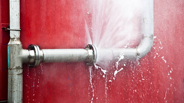 Best Flood restoration services  in Hamilton, GA