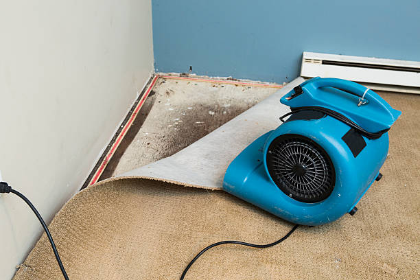 Best Water damage cleanup near me  in Hamilton, GA